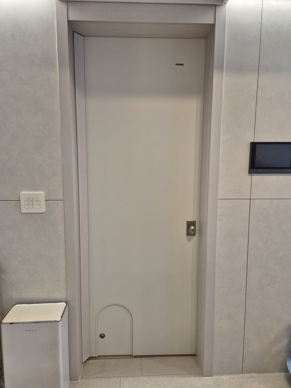 Style reference: an entry door with minimal hardware detail