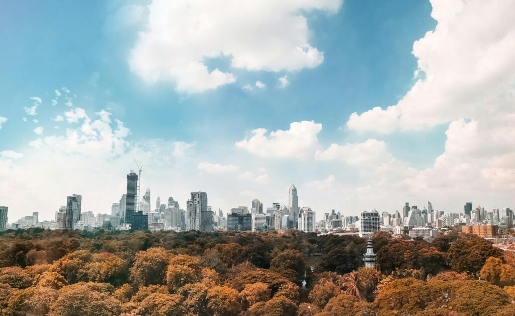 Brown Trees Under White and Blue Cloudy Sky